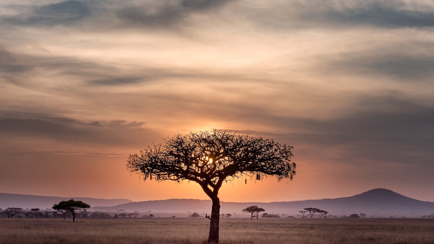 Lowveld cottage at sunset near Kruger